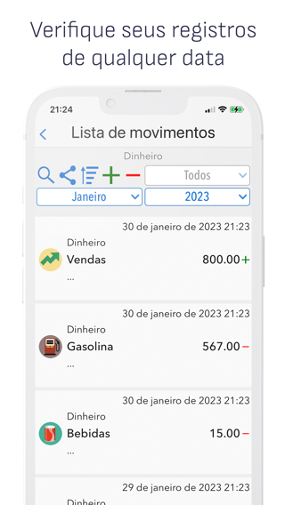 Gastos Diários: Finanças — captura 3