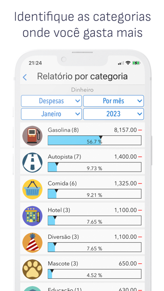 Gastos Diários: Finanças — captura 4